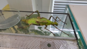 Akce ŠD - Přírodovědná beseda