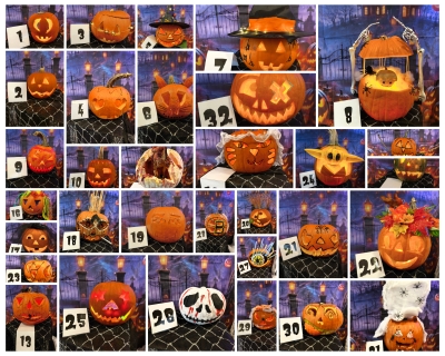14. ročník "Dýňování"