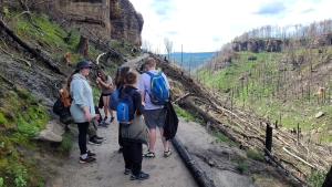 Exkurze - spáleniště v Národním parku České Švýcarsko